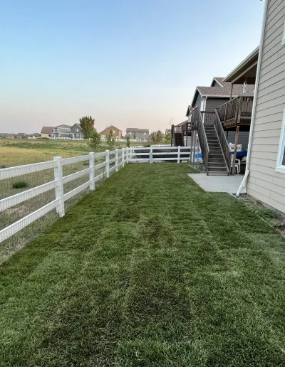 Sod Project After